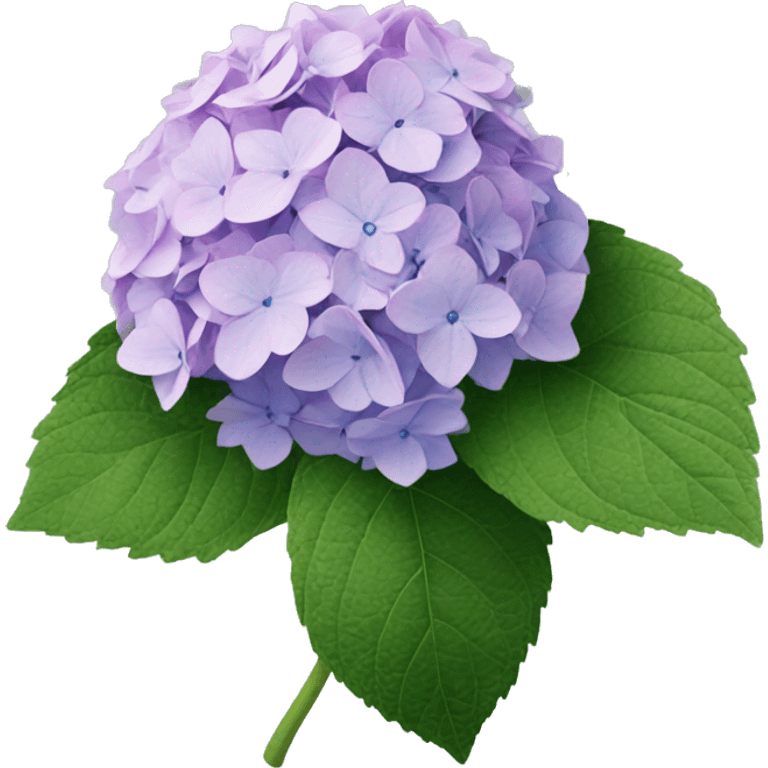 Hydrangea emoji