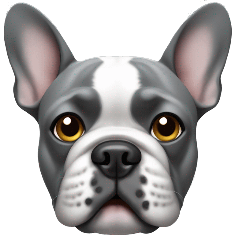 Grey French bulldogs face  emoji