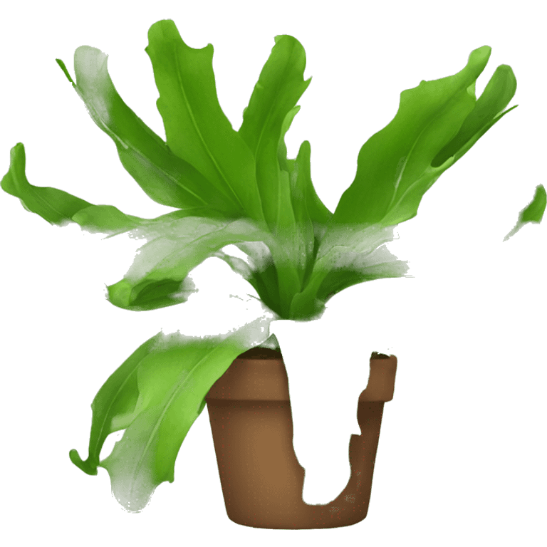 Staghorn fern emoji