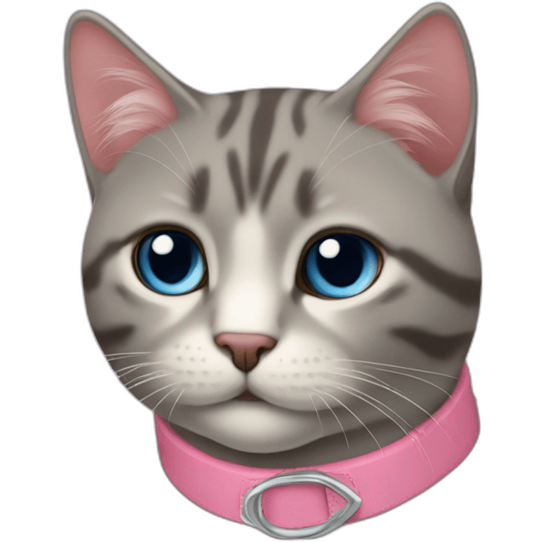 Gato azul ruso con collar rosa emoji