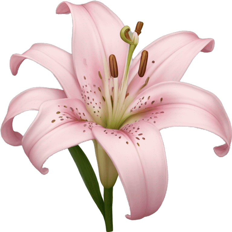 light pink lilium emoji