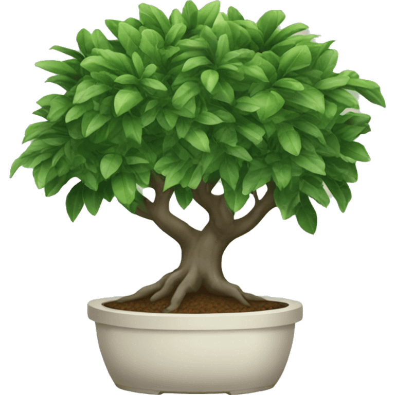 Ficus emoji