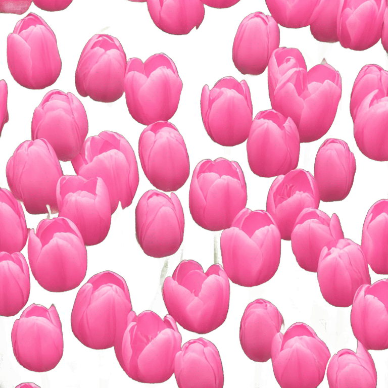 Pink tulips emoji