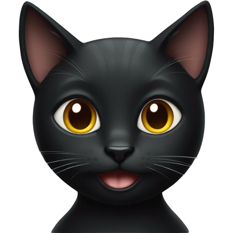 Miraculous black cat  emoji