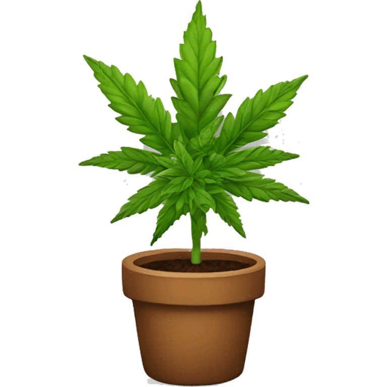 marijiuana plant emoji