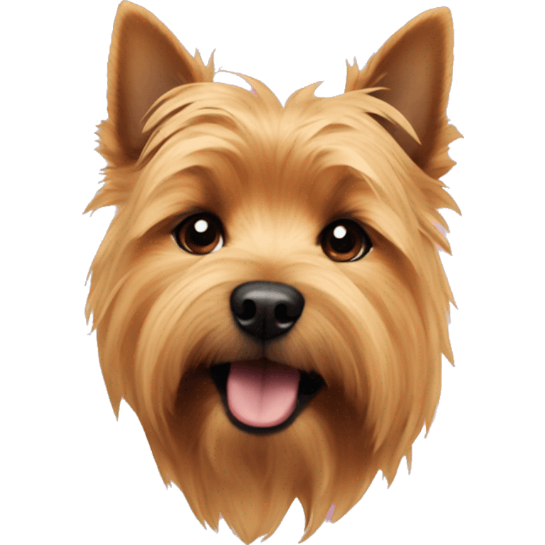 Norwich terrier  emoji