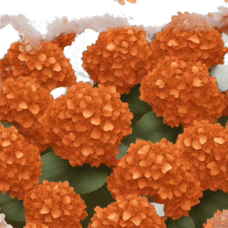 Burnt orange hydrangeas  emoji