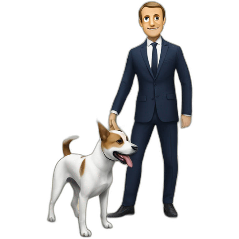 Macron sur chien emoji