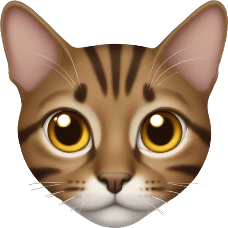 Brown tabby cat emoji