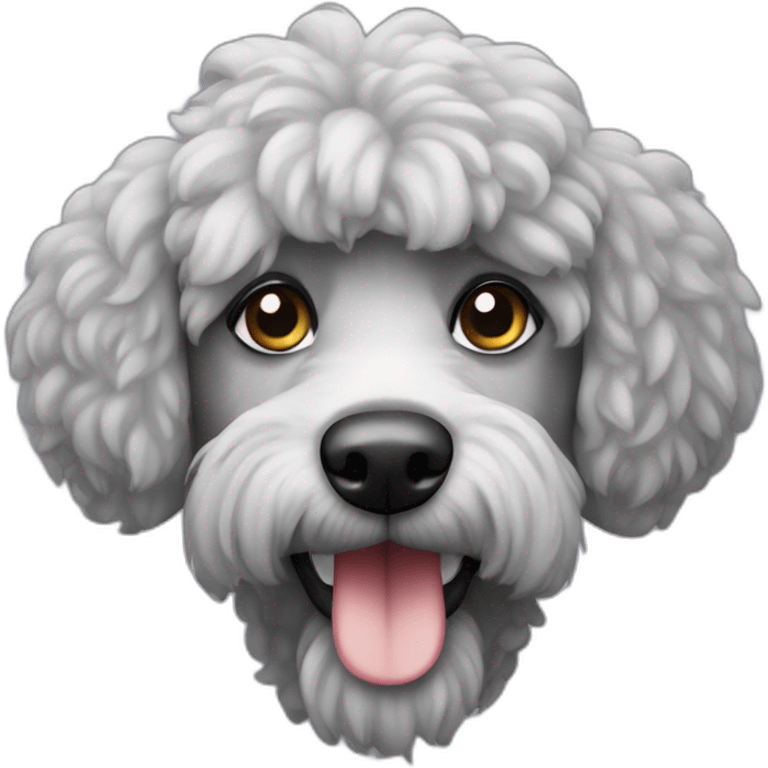 caniche gris emoji