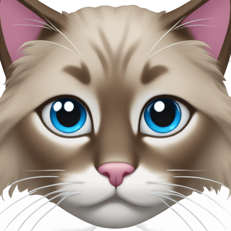 brown ragdoll cat with white in the middle of face that's a bit crooked on the top of the nose, with a  pink and brown nose, and blue eyes emoji