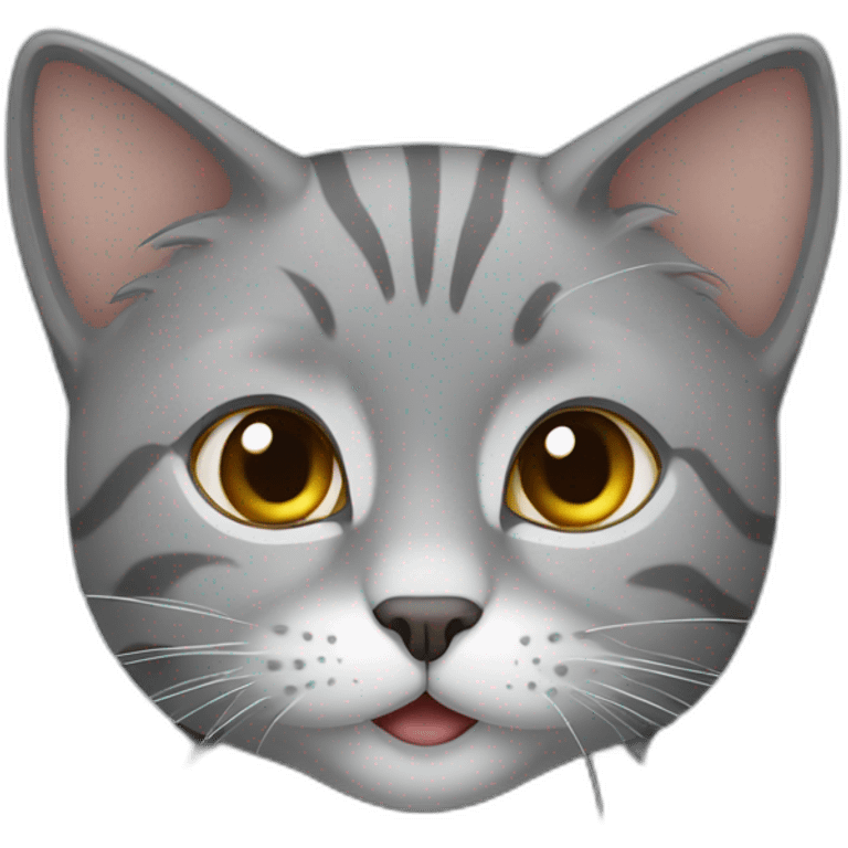 gray cat in Uzbekistan emoji