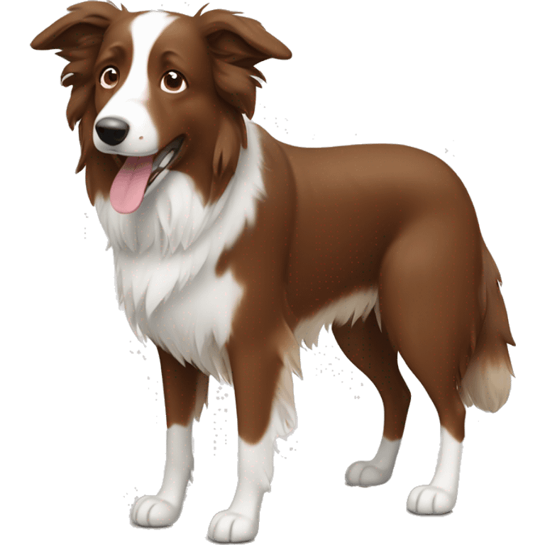 brown bordercollie with floppy brown ears  emoji