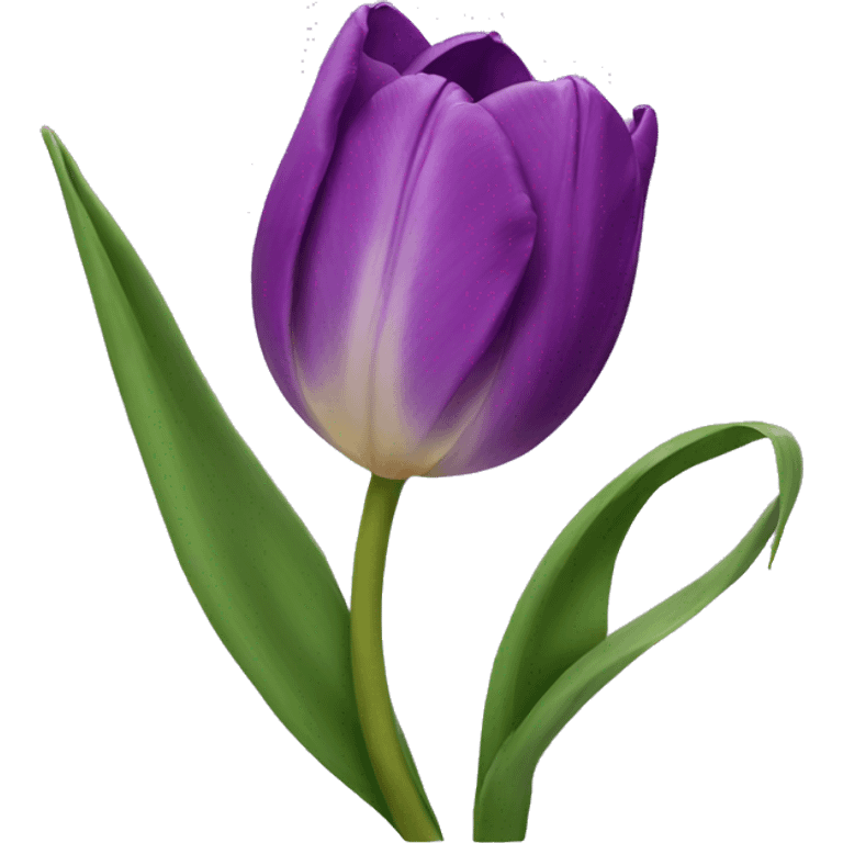 purple tulip emoji