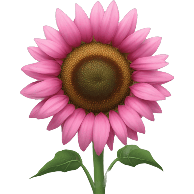 Pink sunflower emoji