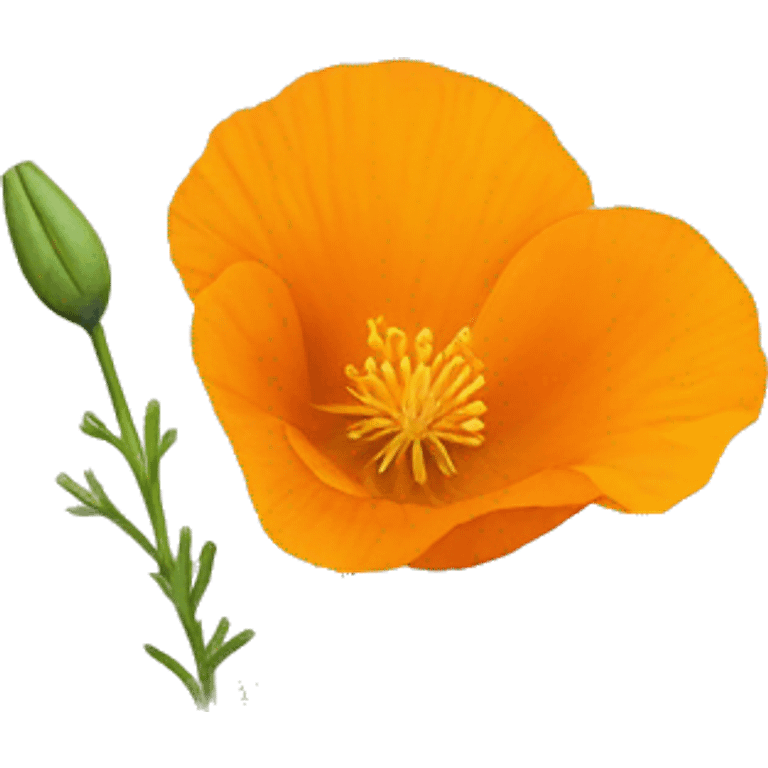 california poppy  emoji