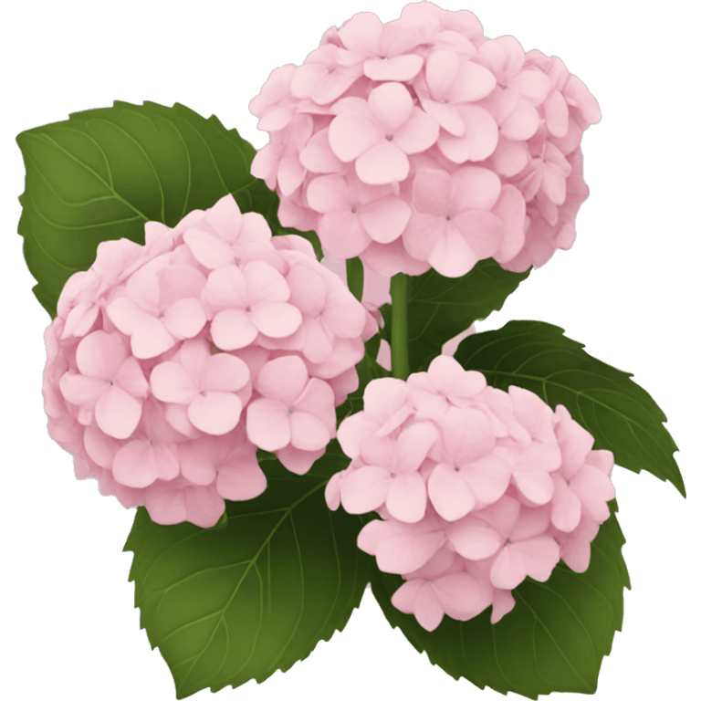 light pink hydrangea  emoji