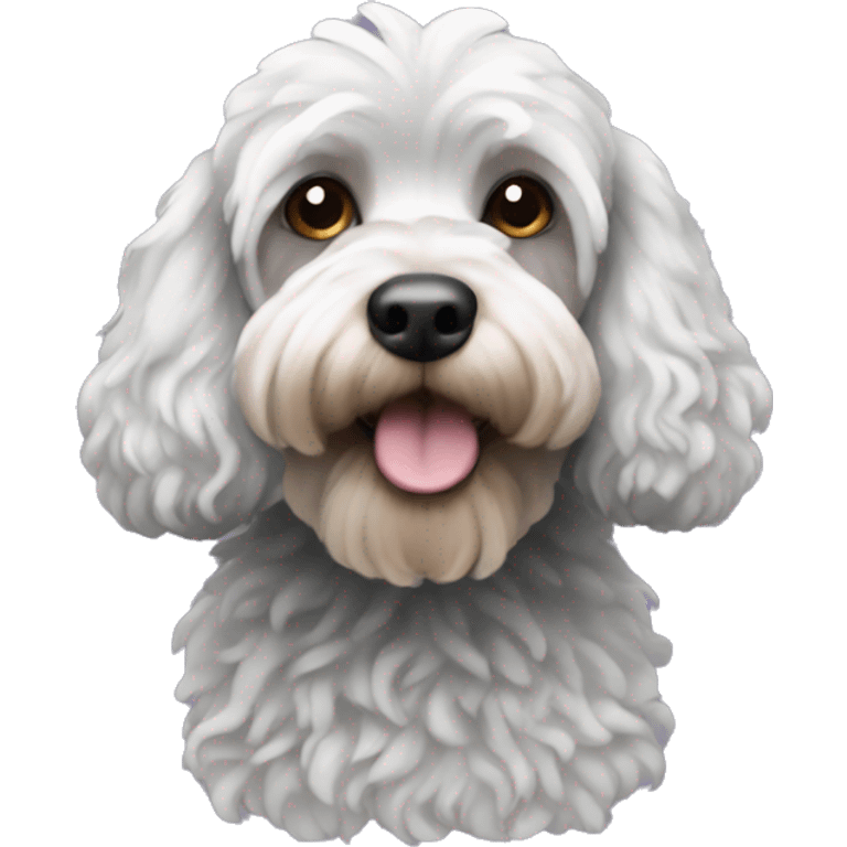 black cockapoo with white beard  emoji