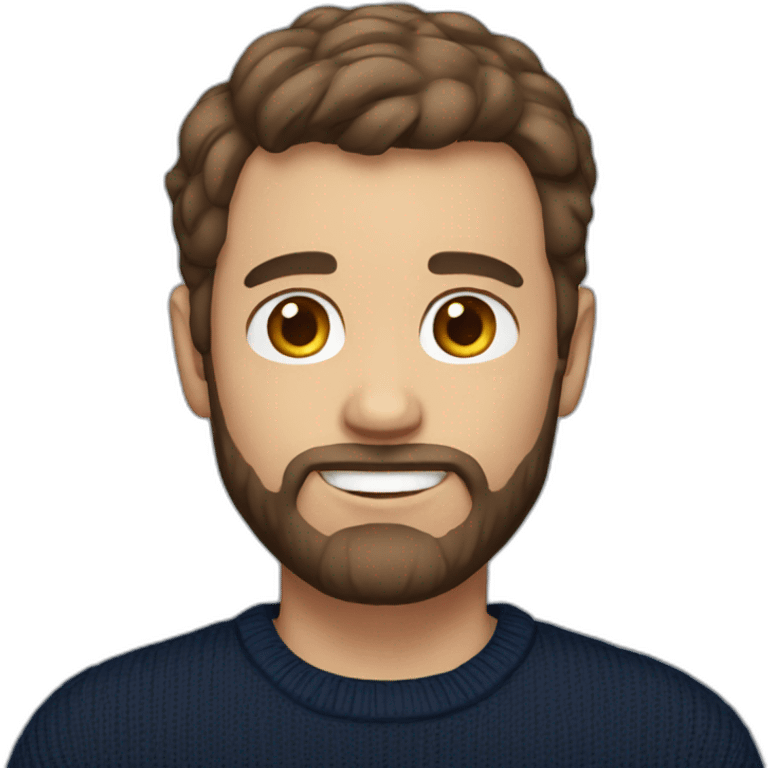 Man with short brown hair and trimmed beard and navy sweater emoji