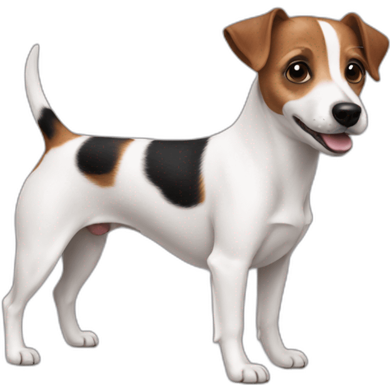 Two-little-jack-russell emoji