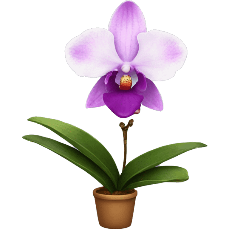 orchid emoji