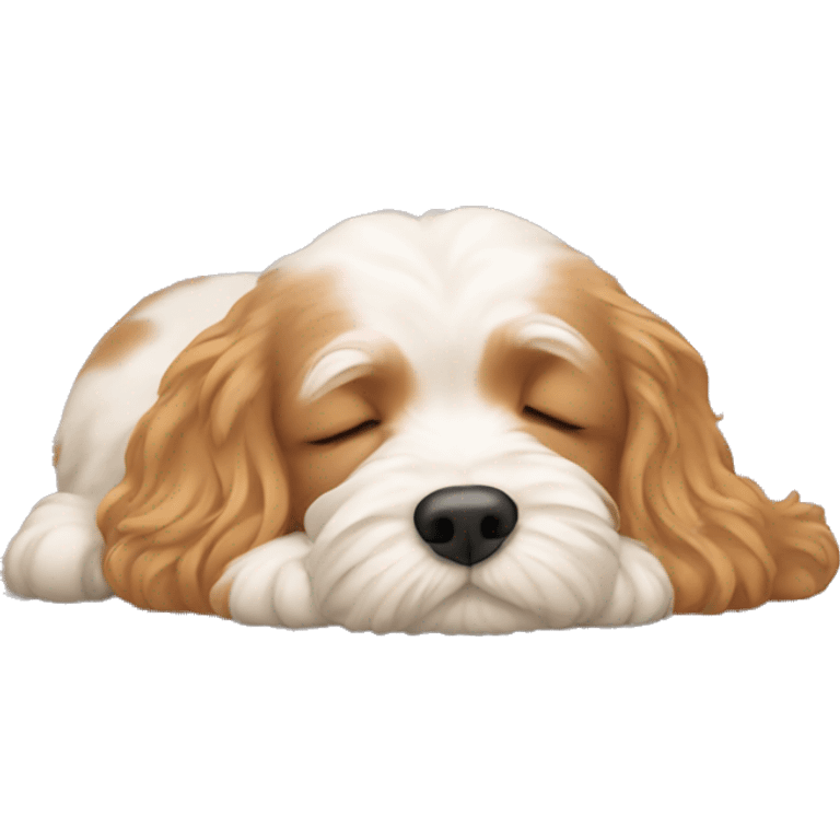 cavapoo sleeping  emoji