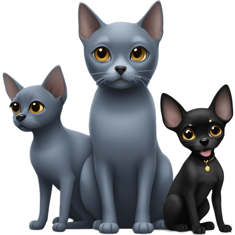 a big russian blue cat and two small black chihuahuas emoji