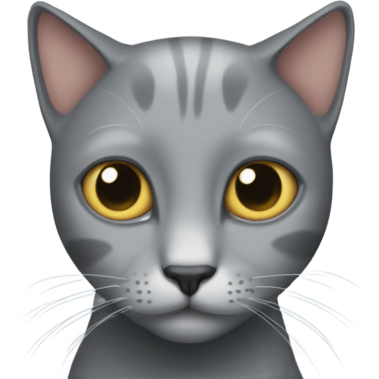 Grey cat with missing right ear emoji