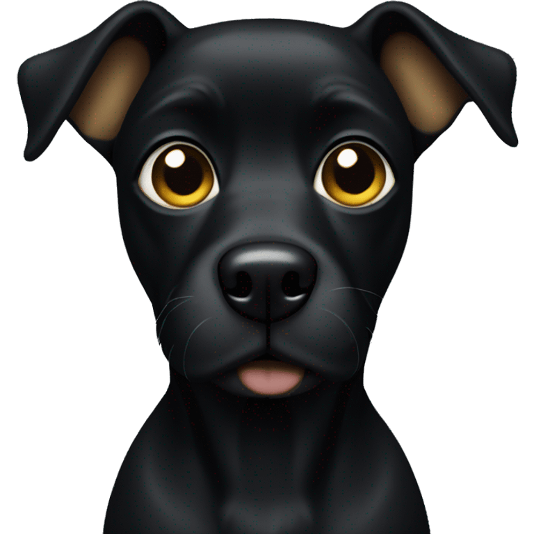 black dog with gold eyebrows emoji