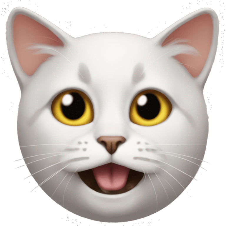 wtf cat emoji