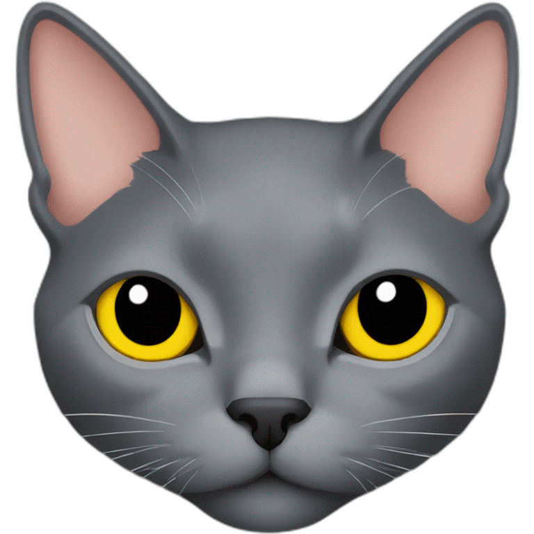 korat grey cat head with yellow eyes and black public emoji