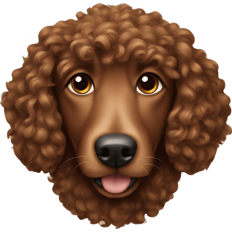 Brown dog curly  emoji