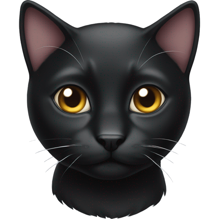 Black cat with white nose  emoji