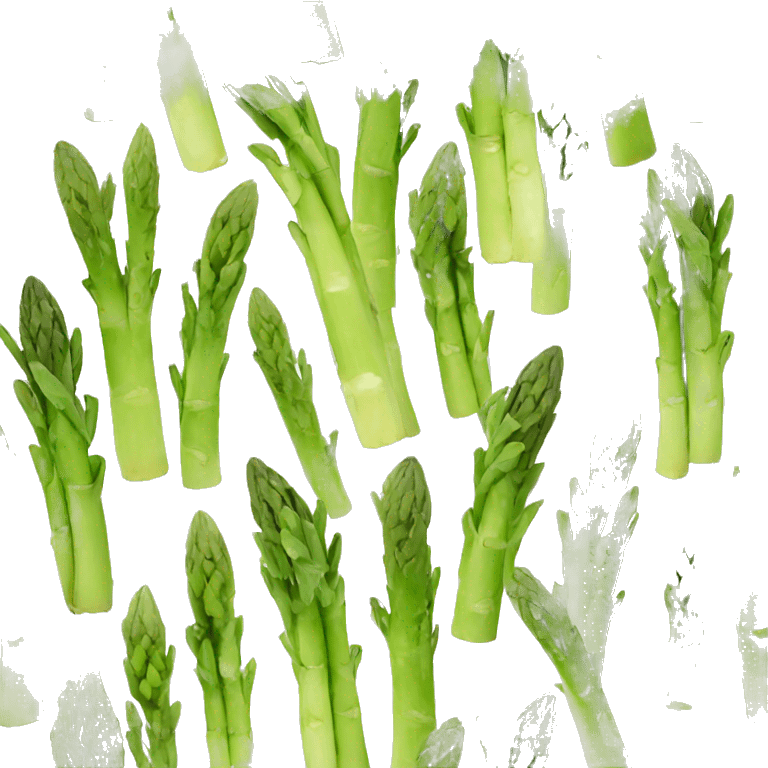 asparagus emoji emoji