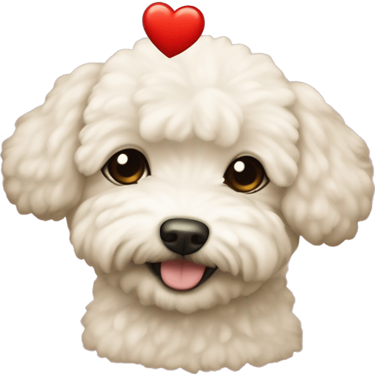 Beige bichon havanais with hearts emoji