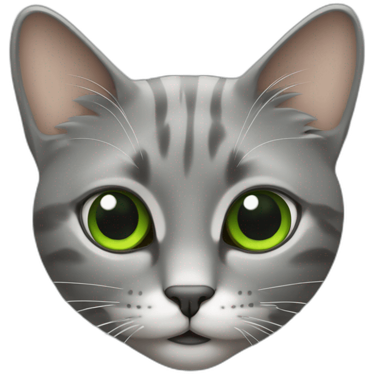 Un Chat gris foncé efreyée avec des yeux verts emoji