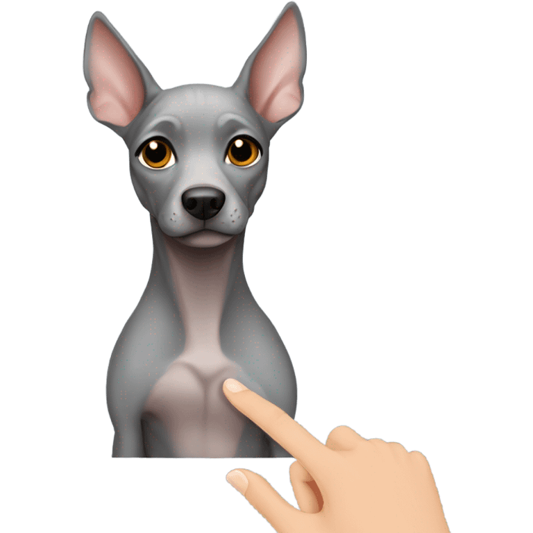 Gray hairless dog give hand emoji