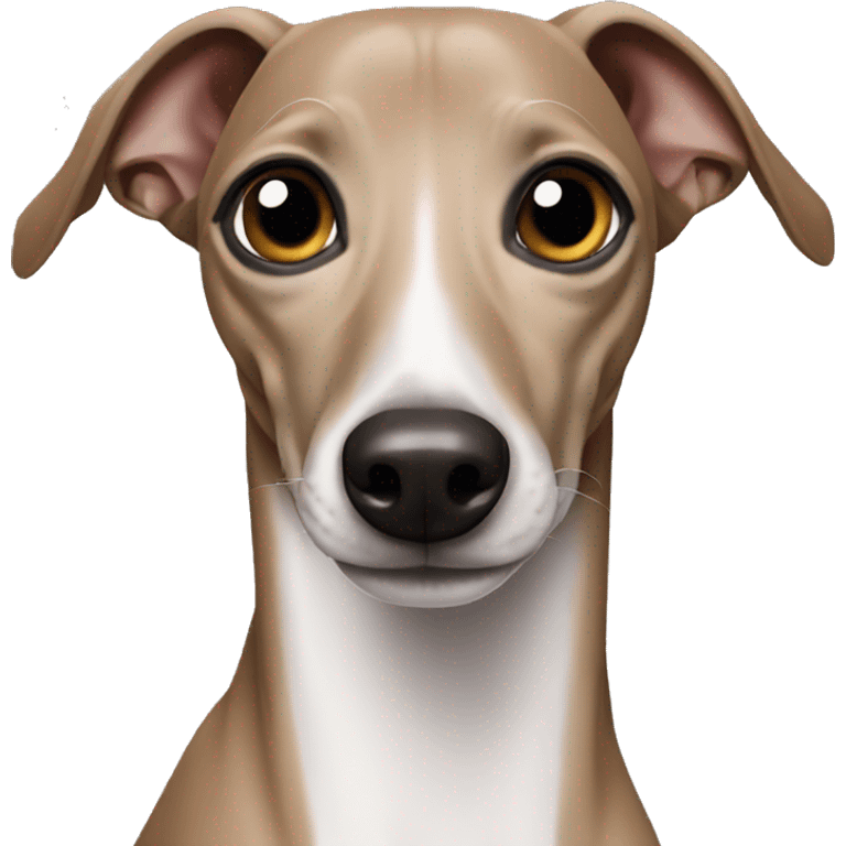 Italian greyhound emoji