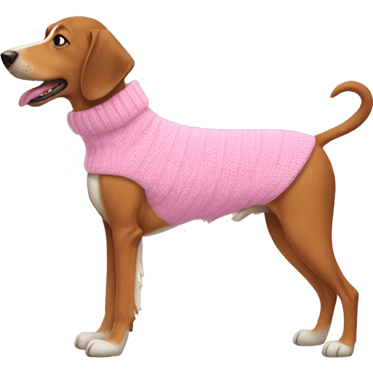 Dash hound wearing a pink sweater  emoji