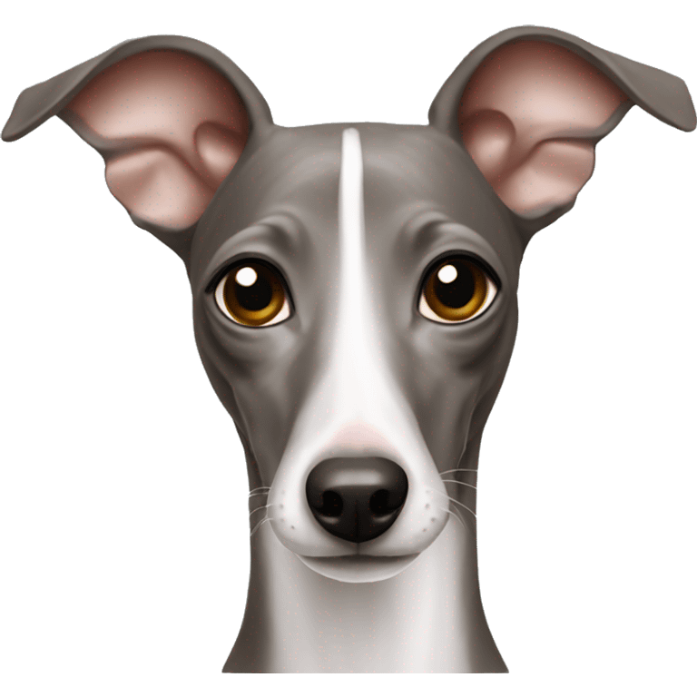 italian greyhound emoji