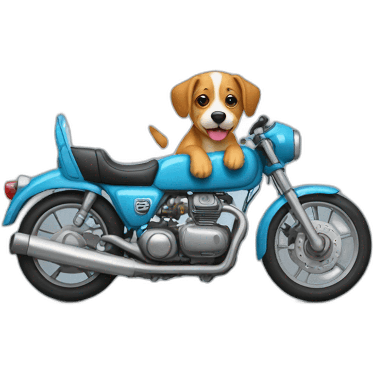 Un chien qui fait de la moto sur une tele emoji