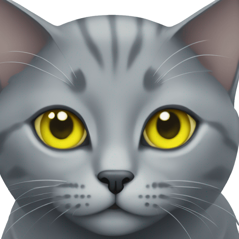 Gray cat with yellow-green eyes Russian blue breed emoji