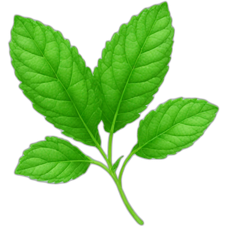 mint leaf emoji