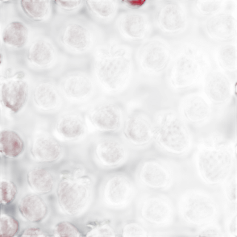 raspberries emoji