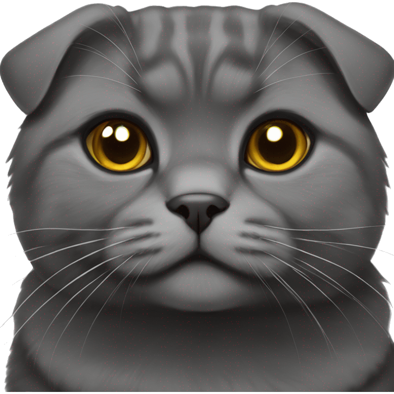 Black Scottish fold cat emoji