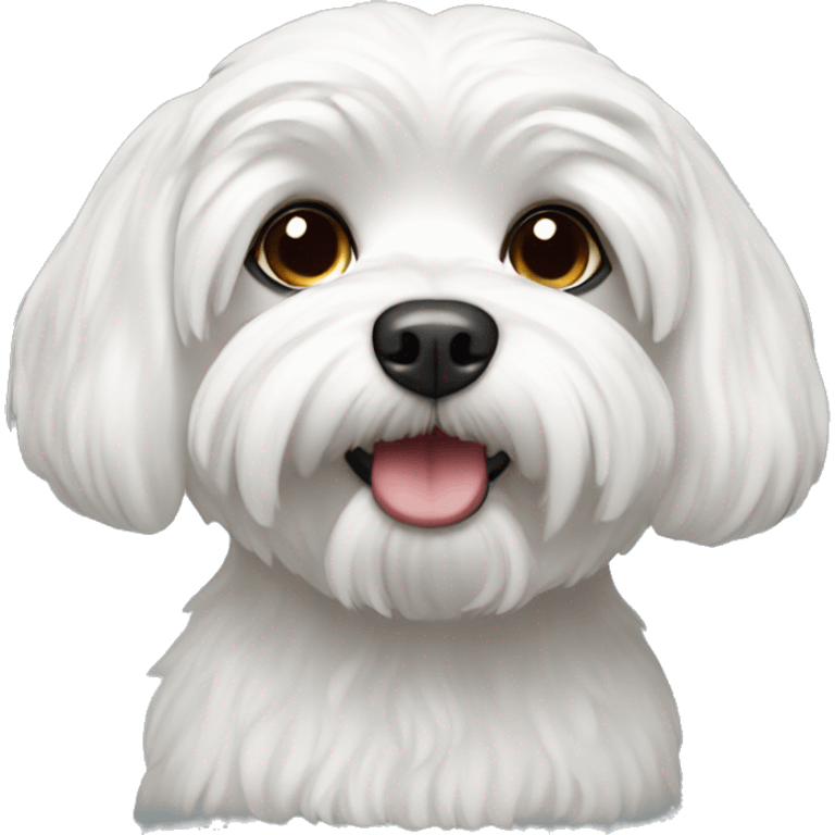 Maltese terier emoji