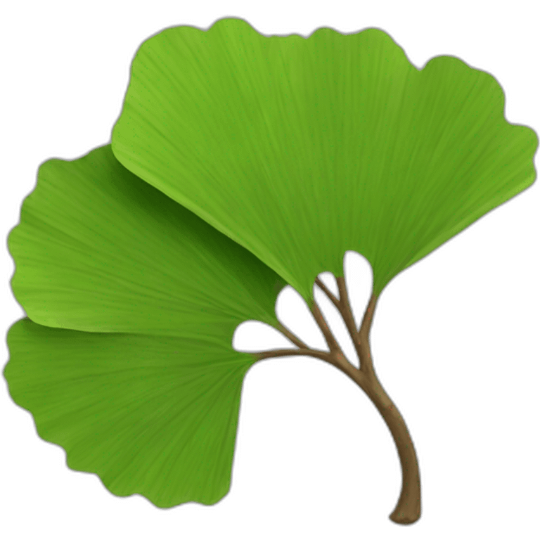 Ginko-leaf-branch emoji