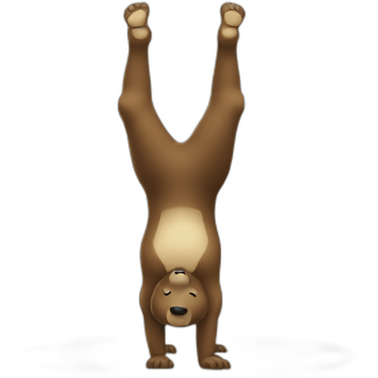 Bär, Handstand emoji