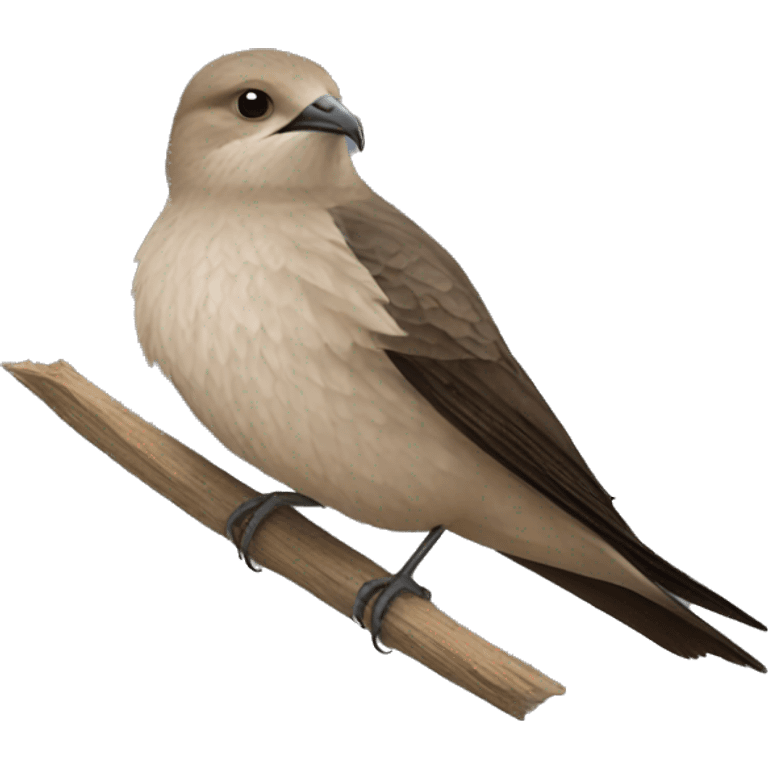 sharp common swift  emoji