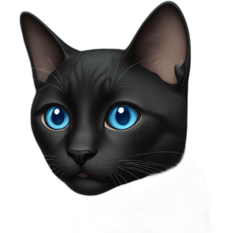 a black cat with bule eyes emoji